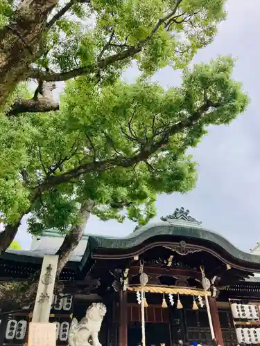 石切劔箭神社(大阪府)