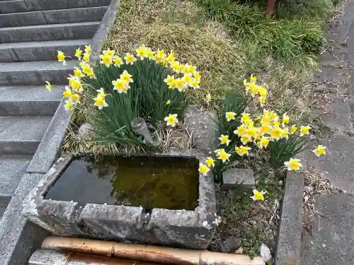 国宝 大法寺の{uncategorized: "未分類", other: "その他", undefined: "問題あり", building: "その他建物", grave: "お墓", sacred_gate: "鳥居", guardian: "狛犬", statue: "像", buddha: "仏像", history: "歴史", nature: "自然", garden: "庭園", animal: "動物", pagoda: "塔", temizu: "手水舎", mountain_gate: "山門・神門", sanctuary: "本殿・本堂", subordinate: "末社・摂社", art: "芸術", scenery: "景色", jizo: "地蔵", ema: "絵馬", goshuin: "御朱印", omikuji: "おみくじ", items: "授与品その他", amulet: "お守り", goshuincho: "御朱印帳", eats: "食事", festival: "お祭り", votive_dance: "神楽", shichigosan: "七五三参", wedding: "結婚式", experience: "体験その他", initially: "初詣", around: "周辺", anti_infection: "感染症対策"}