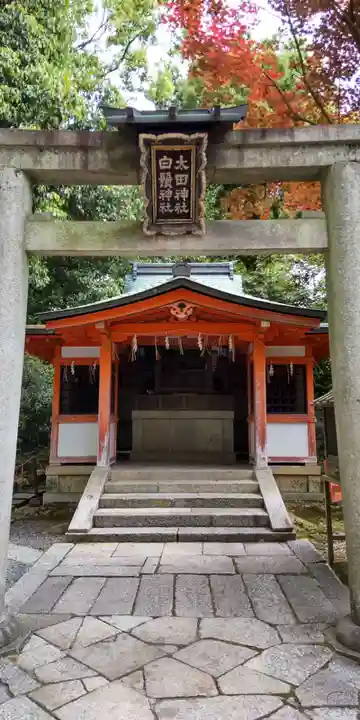 八坂神社(祇園さん)(京都府)
