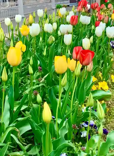 和光神社(宮城県)