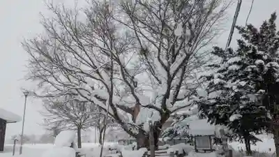 御田神社の自然