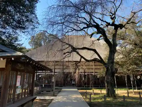 茂林寺の{uncategorized: "未分類", other: "その他", undefined: "問題あり", building: "その他建物", grave: "お墓", sacred_gate: "鳥居", guardian: "狛犬", statue: "像", buddha: "仏像", history: "歴史", nature: "自然", garden: "庭園", animal: "動物", pagoda: "塔", temizu: "手水舎", mountain_gate: "山門・神門", sanctuary: "本殿・本堂", subordinate: "末社・摂社", art: "芸術", scenery: "景色", jizo: "地蔵", ema: "絵馬", goshuin: "御朱印", omikuji: "おみくじ", items: "授与品その他", amulet: "お守り", goshuincho: "御朱印帳", eats: "食事", festival: "お祭り", votive_dance: "神楽", shichigosan: "七五三参", wedding: "結婚式", experience: "体験その他", initially: "初詣", around: "周辺", anti_infection: "感染症対策"}