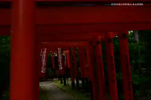 東伏見稲荷神社の鳥居