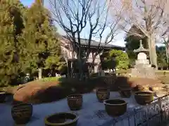 金剛院の庭園