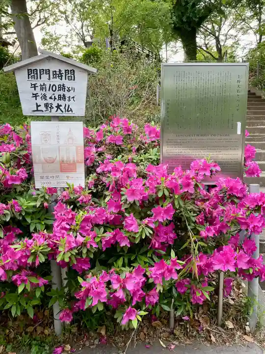 上野大佛(東京都)