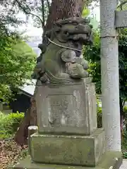 細山神明社の狛犬