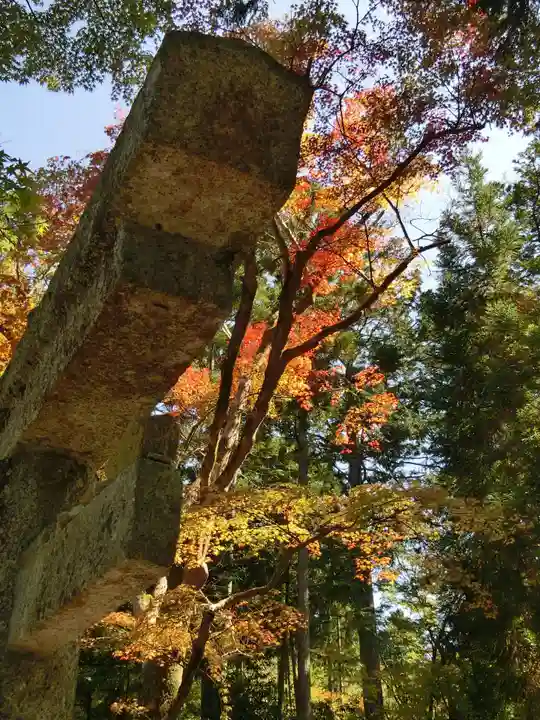 曼殊院門跡のその他建物