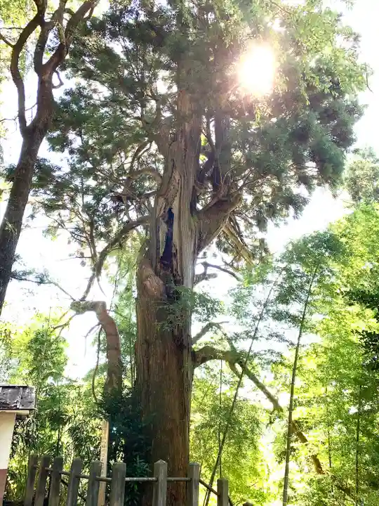 川辺八幡神社(福島県)