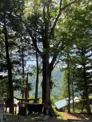 熱田神社(長野県)