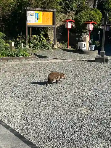 大船観音寺(神奈川県)