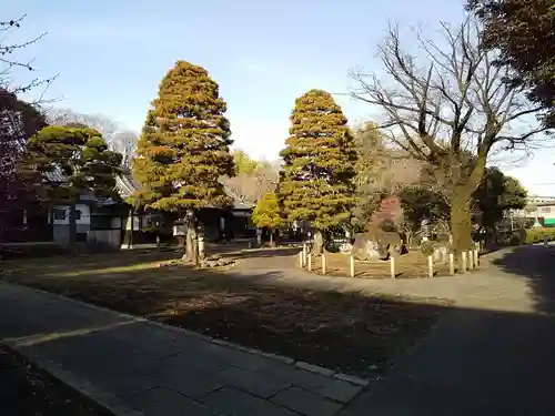 南蔵院(東京都)