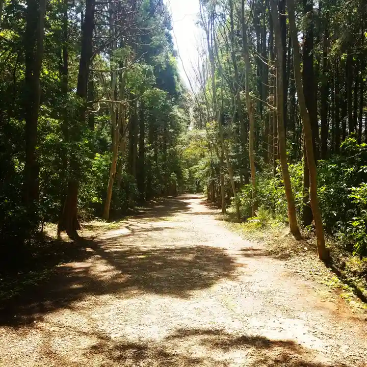 鹿島神宮の自然