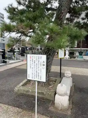 妙音院(宮城県)