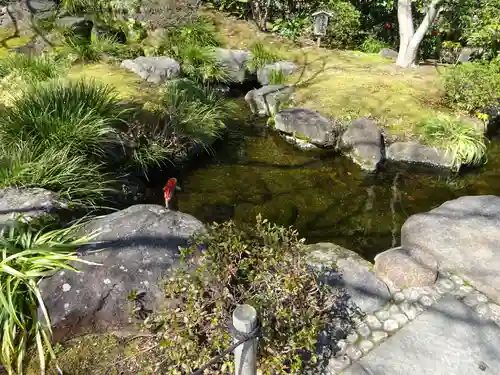 長谷寺(神奈川県)