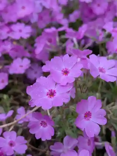 久富稲荷神社(東京都)
