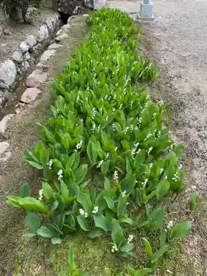 永澤寺(兵庫県)