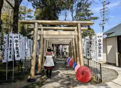 白金龍王社の鳥居