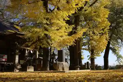 綾部八幡神社(佐賀県)