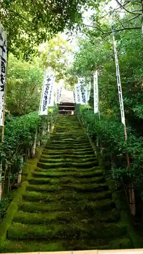 杉本寺の自然