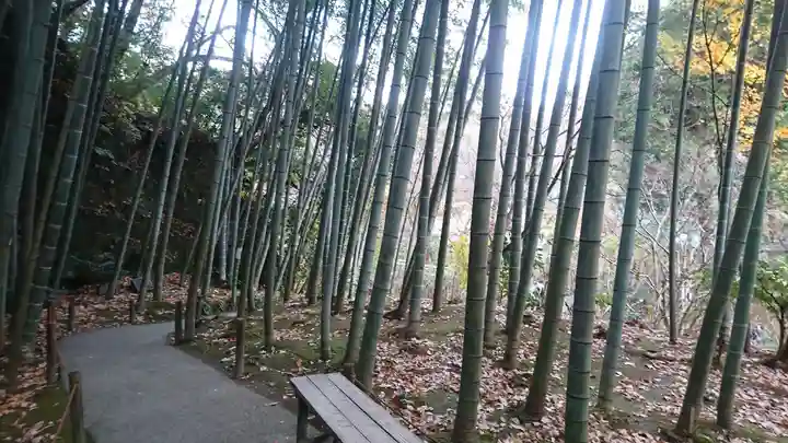 明月院(神奈川県)