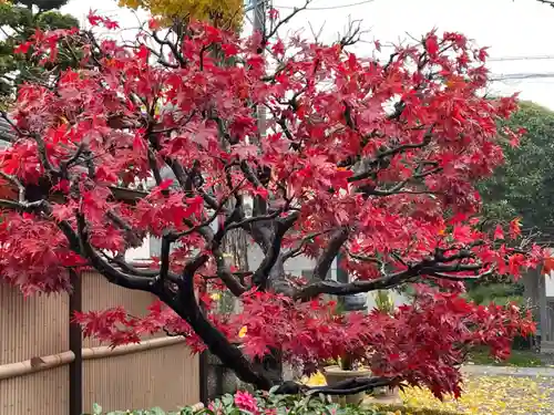 梅香寺(三重県)