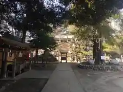 駒込富士神社(東京都)