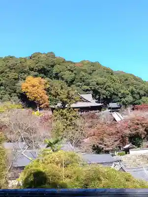 長谷寺(奈良県)