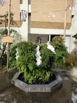 東神社(東京都)