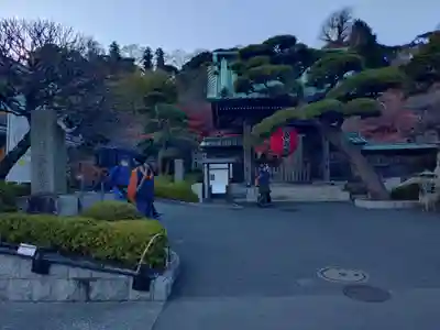 長谷寺(神奈川県)