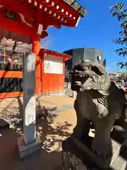 葛飾八幡宮の狛犬