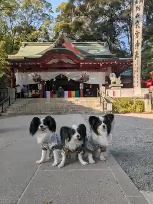 來宮神社の{uncategorized: "未分類", other: "その他", undefined: "問題あり", building: "その他建物", grave: "お墓", sacred_gate: "鳥居", guardian: "狛犬", statue: "像", buddha: "仏像", history: "歴史", nature: "自然", garden: "庭園", animal: "動物", pagoda: "塔", temizu: "手水舎", mountain_gate: "山門・神門", sanctuary: "本殿・本堂", subordinate: "末社・摂社", art: "芸術", scenery: "景色", jizo: "地蔵", ema: "絵馬", goshuin: "御朱印", omikuji: "おみくじ", items: "授与品その他", amulet: "お守り", goshuincho: "御朱印帳", eats: "食事", festival: "お祭り", votive_dance: "神楽", shichigosan: "七五三参", wedding: "結婚式", experience: "体験その他", initially: "初詣", around: "周辺", anti_infection: "感染症対策"}