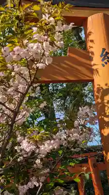 平野神社(京都府)