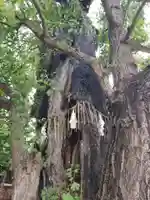 飛木稲荷神社のその他建物