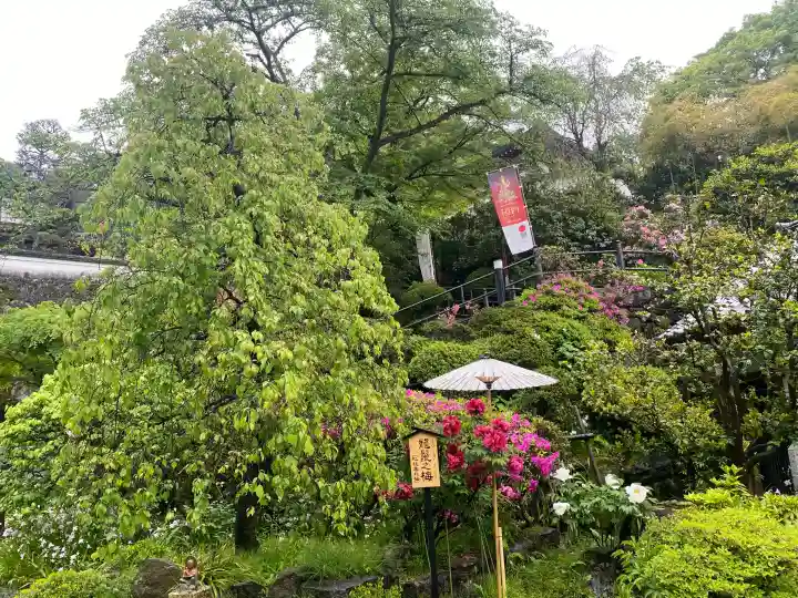 岡寺(龍蓋寺)の{uncategorized: "未分類", other: "その他", undefined: "問題あり", building: "その他建物", grave: "お墓", sacred_gate: "鳥居", guardian: "狛犬", statue: "像", buddha: "仏像", history: "歴史", nature: "自然", garden: "庭園", animal: "動物", pagoda: "塔", temizu: "手水舎", mountain_gate: "山門・神門", sanctuary: "本殿・本堂", subordinate: "末社・摂社", art: "芸術", scenery: "景色", jizo: "地蔵", ema: "絵馬", goshuin: "御朱印", omikuji: "おみくじ", items: "授与品その他", amulet: "お守り", goshuincho: "御朱印帳", eats: "食事", festival: "お祭り", votive_dance: "神楽", shichigosan: "七五三参", wedding: "結婚式", experience: "体験その他", initially: "初詣", around: "周辺", anti_infection: "感染症対策"}