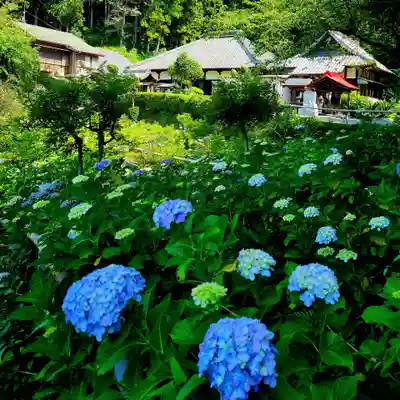 極楽寺(静岡県)