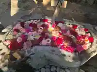 浄誓寺の{uncategorized: "未分類", other: "その他", undefined: "問題あり", building: "その他建物", grave: "お墓", sacred_gate: "鳥居", guardian: "狛犬", statue: "像", buddha: "仏像", history: "歴史", nature: "自然", garden: "庭園", animal: "動物", pagoda: "塔", temizu: "手水舎", mountain_gate: "山門・神門", sanctuary: "本殿・本堂", subordinate: "末社・摂社", art: "芸術", scenery: "景色", jizo: "地蔵", ema: "絵馬", goshuin: "御朱印", omikuji: "おみくじ", items: "授与品その他", amulet: "お守り", goshuincho: "御朱印帳", eats: "食事", festival: "お祭り", votive_dance: "神楽", shichigosan: "七五三参", wedding: "結婚式", experience: "体験その他", initially: "初詣", around: "周辺", anti_infection: "感染症対策"}