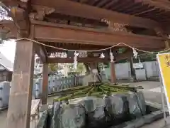 伊豫豆比古命神社の手水