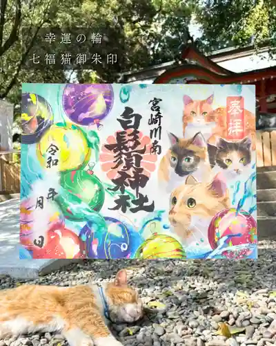 白鬚神社の御朱印