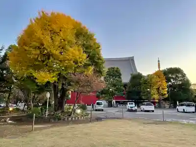 浅草寺(東京都)