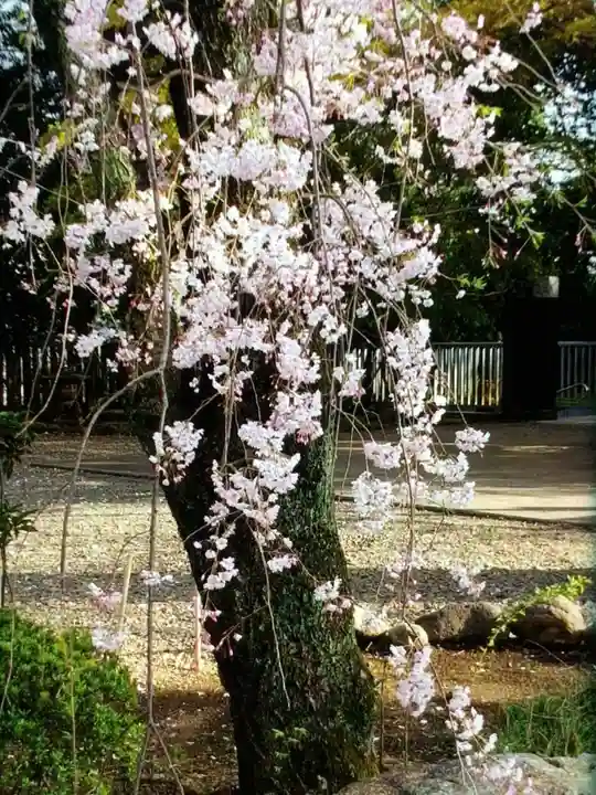 龍光寺(東京都)