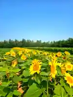 美幌神社(北海道)