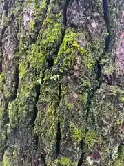 三輪神社(岐阜県)