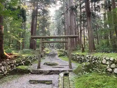 平泉寺白山神社の鳥居