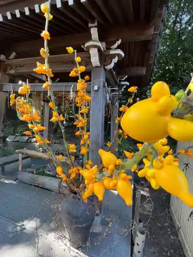 東海市熊野神社の手水舎
