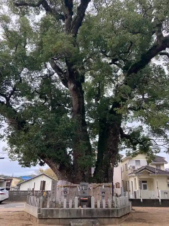 船守神社(大阪府)