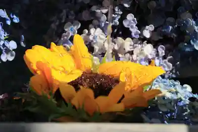 豊景神社の手水舎