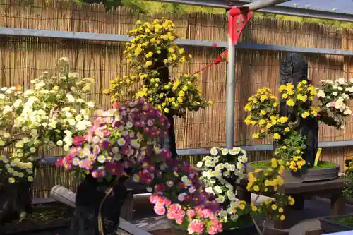 橿原神宮(奈良県)