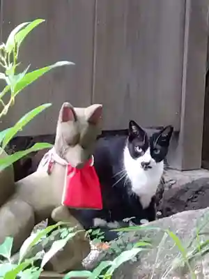 澤蔵司稲荷（慈眼院）(東京都)