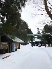 琴似神社の鳥居