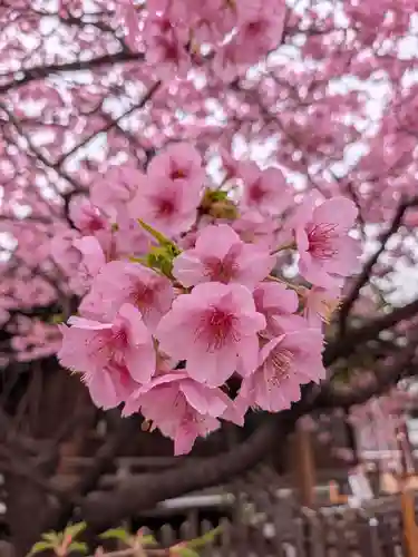 新宿下落合氷川神社(東京都)